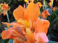 photos 2000-200902760